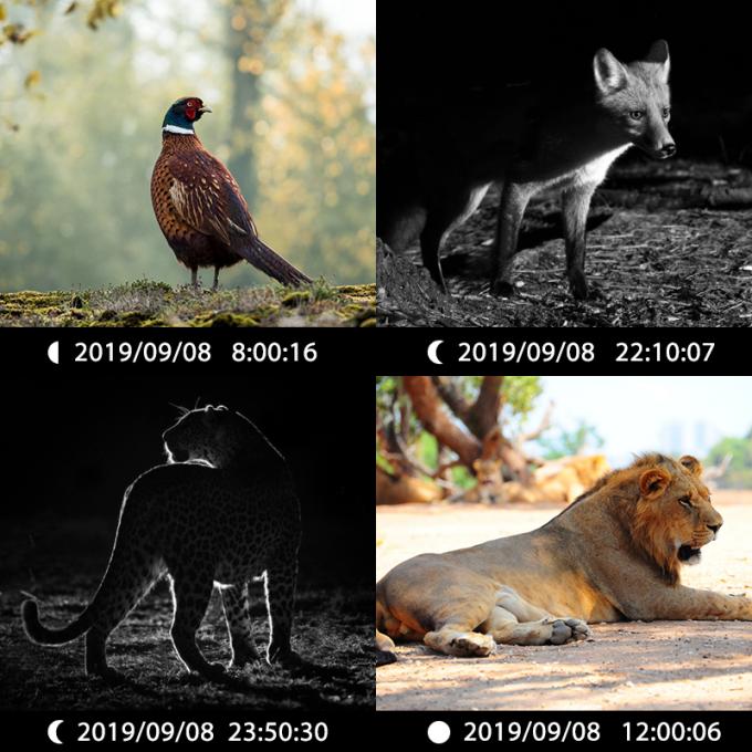 Infrared Hunting Camera 30MP1080P Dual-lens Game Cameras for Outdoor Wildlife Trap Waterproof 940nm IR Camera 6