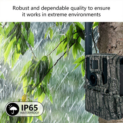 4G Cellular Wildlife Forest Trail Cameras