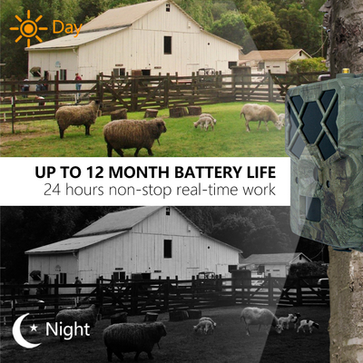Cost effective KW886 wildlife camera with APP control 4G sim card 24MP 1080P at 30fps waterproof IP67 night vision game camera