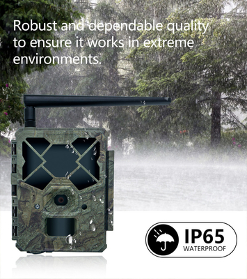 Cost effective KW886 wildlife camera with APP control 4G sim card 24MP 1080P at 30fps waterproof IP67 night vision game camera