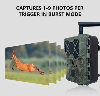Cost effective KW886 wildlife camera with APP control 4G sim card 24MP 1080P at 30fps waterproof IP67 night vision game camera