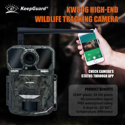 KW896 hunting wildlife trail camera 4G cellular trail camera factory-sell OEM ODM wildlife monitoring camera