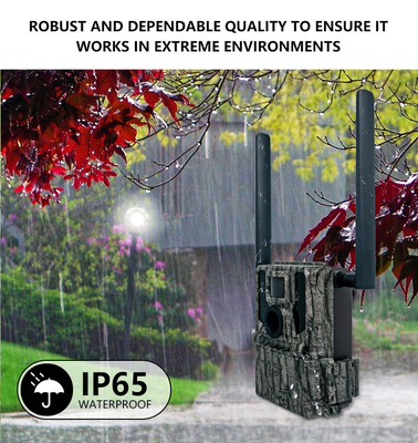 4G Wireless Trail Camera Hidden Camouflage KW897 with Dual Antennas Night Vision 36MP 2K Video for Deer Hunting