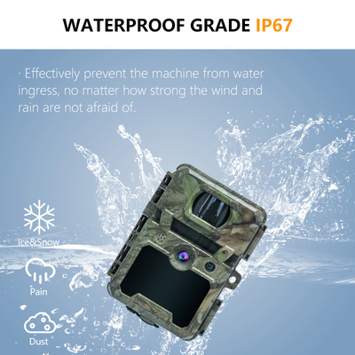 KW571 Factory OEM ODM Mini Wildlife Scouting Timelapse Trail Camera IP67 No-Glow CMOS Sensor and SD Memory night vision