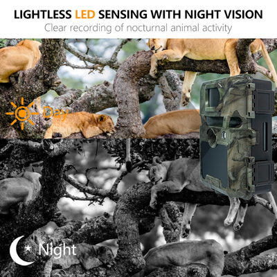 KW571 Factory OEM ODM Mini Wildlife Scouting Timelapse Trail Camera IP67 No-Glow CMOS Sensor and SD Memory night vision