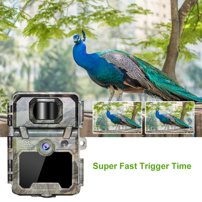 KW571 Factory OEM ODM Mini Wildlife Scouting Timelapse Trail Camera IP67 No-Glow CMOS Sensor and SD Memory night vision