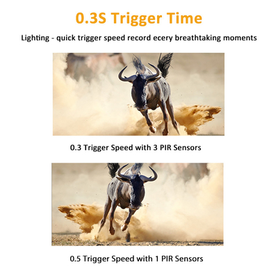 KW561 Trail infra Cam Mini 30MP 0.25s Speed 4K Video Resolution Waterproof CMOS Sensor SD Me