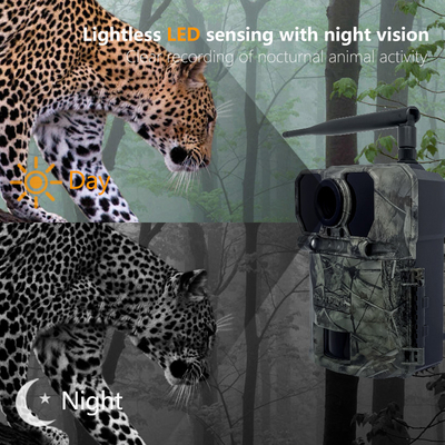 4G OEM/ODM wireless trial camera  KW895 30MP 0.25s trigger speed build in SIM card IP67