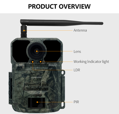 4G OEM/ODM wireless trial camera  KW895 30MP 0.25s trigger speed build in SIM card IP67