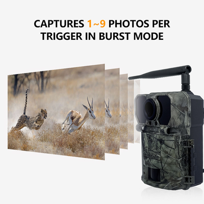 4G OEM/ODM wireless trial camera  KW895 30MP 0.25s trigger speed build in SIM card IP67