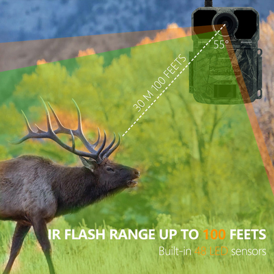 4G OEM/ODM wireless trial camera  KW895 30MP 0.25s trigger speed build in SIM card IP67