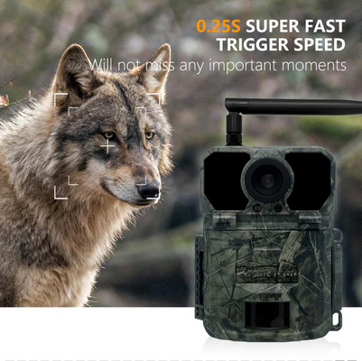 4G OEM/ODM wireless trial camera  KW895 30MP 0.25s trigger speed build in SIM card IP67