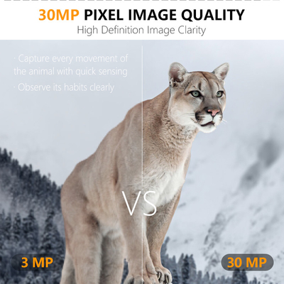4G OEM/ODM wireless trial camera  KW895 30MP 0.25s trigger speed build in SIM card IP67