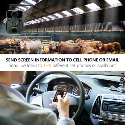 4G OEM/ODM wireless trial camera  KW895 30MP 0.25s trigger speed build in SIM card IP67