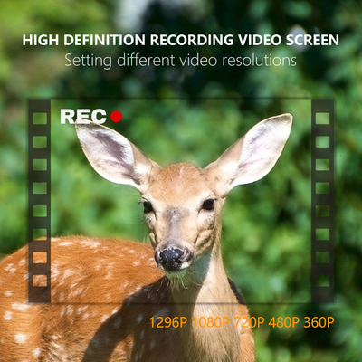 KW865 WIFI Hidden Camera waterproof IP67 20MP 0.6s trigger speed up to 512GB storage night vision trail Camera