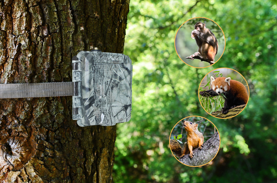 KG45 TRAMP ALARM TRAIL CAMERA for Hunting enthusiasts Call for transmit SMS upon alarm fast response