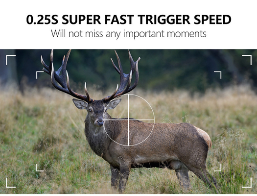 WIFI hunting camera KW866 waterproof IP67 OEM/ODM up to 512GB Storage SD Memory Card 32MP 4K wildlife camera