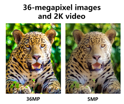 2024 Newest High-End 4G Wireless Hunting Camera KW897 with Dual Antennas 100ft Night Range 36MP 2K Video at 30fps for Wildlife