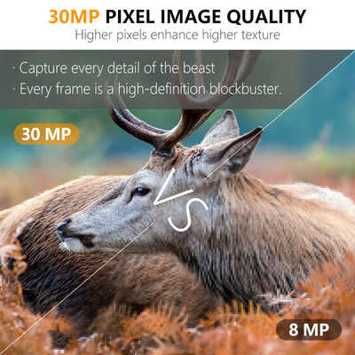 30MP HD Hunting Cameras with No-Glow LED Night Vision and PIR Function for Wildlife Surveillance