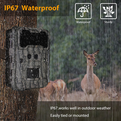 30MP HD Hunting Cameras with No-Glow LED Night Vision and PIR Function for Wildlife Surveillance