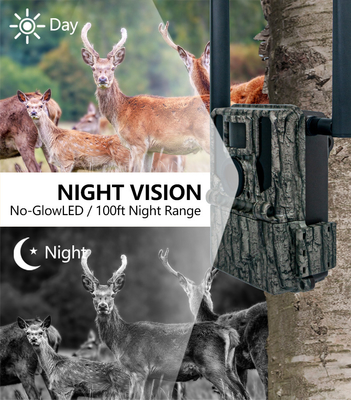 High-End 4g wireless trail camera 2024 Newest KW897 with dual antennas 36MP 2K 0.1s trigger speed with night vision for  for wildlife research