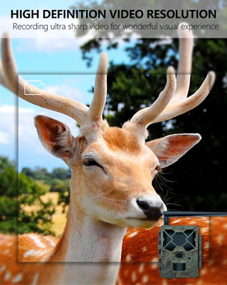 4g wireless hunting camera newest KW886 with antenna 24MP 1080P 0.1s trigger speed 48pcs infrared lights light build in SIM card for wildlife research