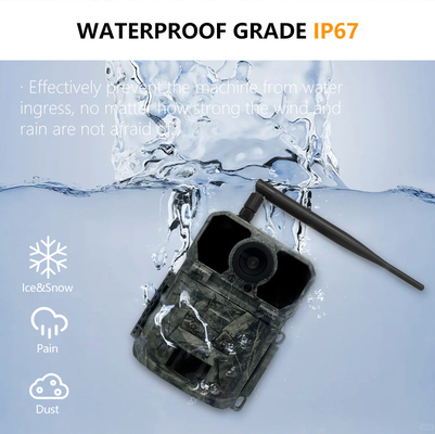4G hunting trail camera KW895 with APP 2K FHD Video 30MP image waterproof IP67 up to 512GB storage for wildlife research