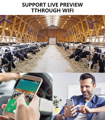 Trail camera KW866 with WIFI connection 0.25s trigger speed waterproof IP67 up to 512GB Storage 32MP 4K at 30fps for buck shot