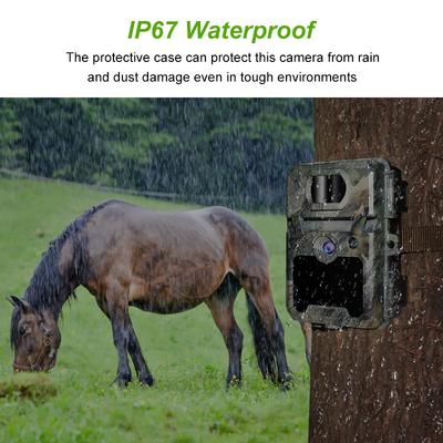 Hunting camera KW571 with 30MP 1080P waterproof IP67 0.25s trigger up to 512GB storage for wildlife hunting