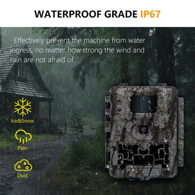 Mini size cost-effective hunting camera KW561 with 30MP/1080P waterproof IP67 up to 512GB 0.3s trigger for wildlife hunting