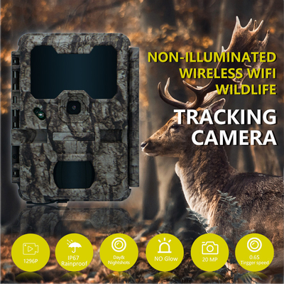 Hunting camera with WIFI connection KW865 waterproof IP67 IR flash range up to 82 feets night vision 20MP/1080P for wildlife watching