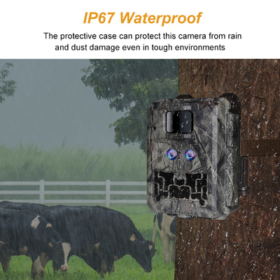 Hunting camera KW591 dual sensors 30MP 1080P waterproof IP67 0.4s response speed night vison up to 512GB storage wildlife camera