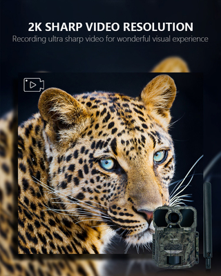 game&trail camera High-End  for 4G hunting camera KW896 with Antenna 100ft Night Range 32MP 2K wildlife camera 4g