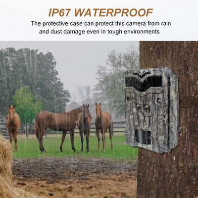 Dual lens KW698A 0.25s trigger speed 30MP 4K video no-glow 120ft night range waterproof IP67 up to 512GB wildlife deer watching