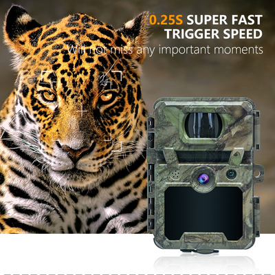 Mini Wireless Wildlife Scouting Camera with 30MP Camouflage IP66 Waterproof and PIR Function for Hunting and Security