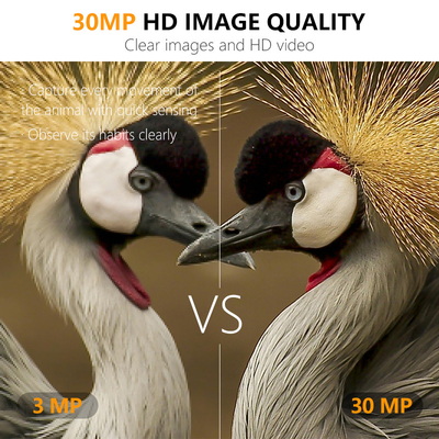 Mini Wireless Wildlife Scouting Camera with 30MP Camouflage IP66 Waterproof and PIR Function for Hunting and Security