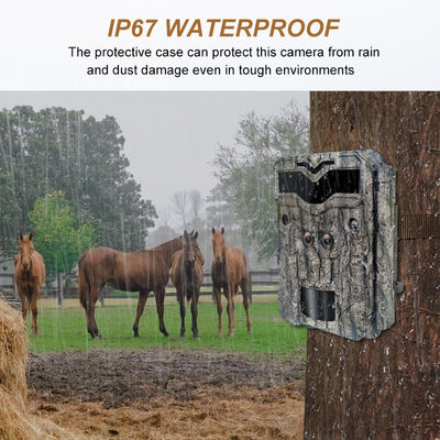 HD Hunting Cameras Keepguard Dual-Lens 32MP No-Glow LED Trail Camera 1080P Night Vision Hunting Game Camera for Wildlife