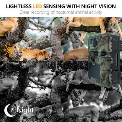Mini Wireless Wildlife Scouting Camera with 30MP Camouflage IP66 Waterproof and PIR Function for Hunting and Security