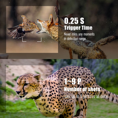 Infrared Hunting Camera 30MP1080P Dual-lens Game Cameras for Outdoor Wildlife Trap Waterproof 940nm IR Camera