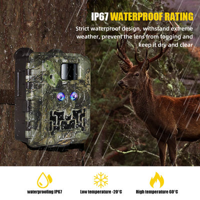 Sales Promotion 39USD Dual lens/Dual sensor Wildlife Game Camera 30MP 1080P No-Glow 940nm With Day And Night Sensor