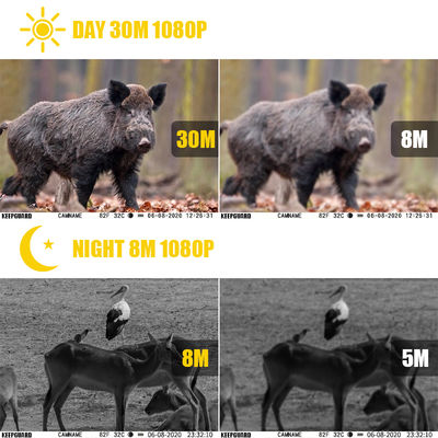 Sales Promotion 39USD Dual lens/Dual sensor Wildlife Game Camera 30MP 1080P No-Glow 940nm With Day And Night Sensor
