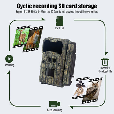 High Sensor Resolution Wildlife Camera 13MP Cmos Dual Lens Trail Camera
