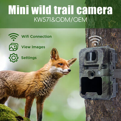 940nm Flash Digital Wildlife Camera 48 LEDs No Glow PIR For Hunting