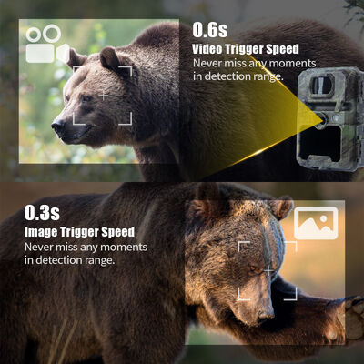 940nm Flash Digital Wildlife Camera 48 LEDs No Glow PIR For Hunting