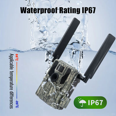 4G Trail Camera with Remote Viewing Capability and Robust Housing Designed to Capture Detailed Images in Remote Locations