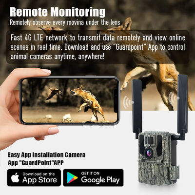 4G Trail Camera with Remote Viewing Capability and Robust Housing Designed to Capture Detailed Images in Remote Locations