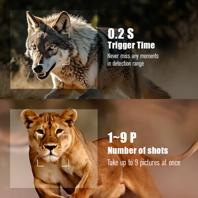 4G Trail Camera with Remote Viewing Capability and Robust Housing Designed to Capture Detailed Images in Remote Locations