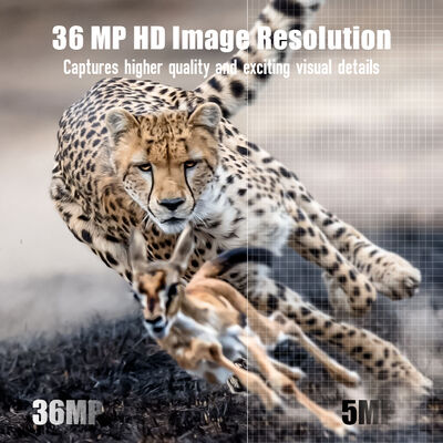 4G Trail Camera with Remote Viewing Capability and Robust Housing Designed to Capture Detailed Images in Remote Locations
