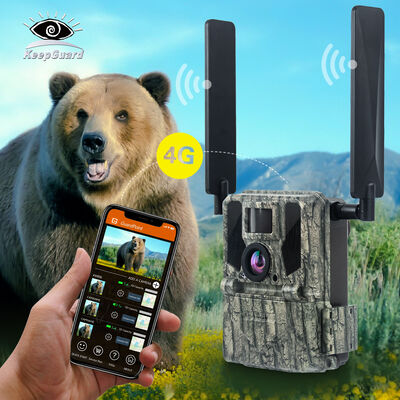 4G Trail Camera with Remote Viewing Capability and Robust Housing Designed to Capture Detailed Images in Remote Locations