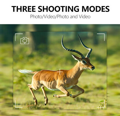Night Vision Game Trail Hunting Camera Offering Ultra Fast Response Time Less Than 0.25 Seconds Designed for Animal Tracking